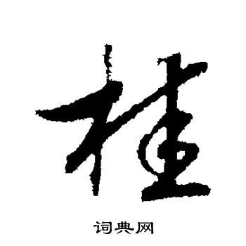 桂的造詞